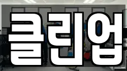 클린업