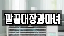 깔끔대장과마녀