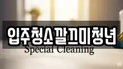 입주청소깔끄미청년