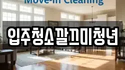 입주청소깔끄미청년