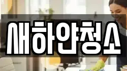 새하얀청소