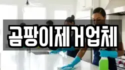 곰팡이제거업체