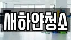 새하얀청소