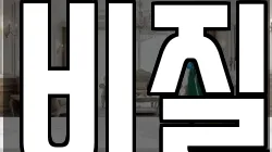 비질