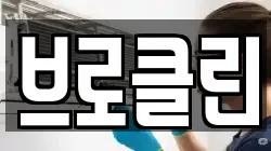 전북특별자치도 남원시 운봉읍 청소,입주청소,사무실청소,에어컨청소,특수청소,상가청소,거주청소,유품정리