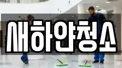 새하얀청소