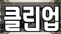 클린업