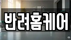 반려홈케어