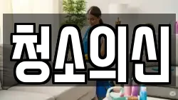 청소의신