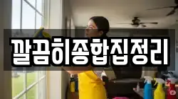 깔끔히종합집정리