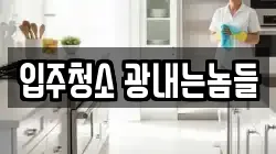 입주청소 광내는놈들