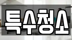특수청소