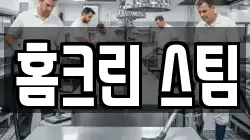 홈크린 스팀