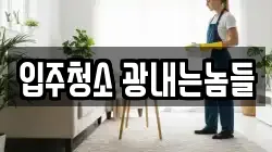 입주청소 광내는놈들