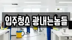 입주청소 광내는놈들