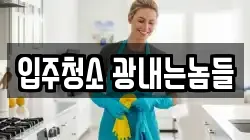 입주청소 광내는놈들