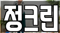정크린