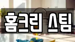 홈크린 스팀