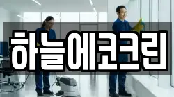 하늘에코크린