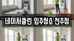 네이처클린 입주청소 전주점