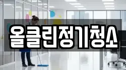 올클린정기청소