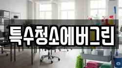 특수청소에버그린