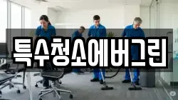 특수청소에버그린