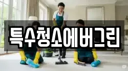 특수청소에버그린