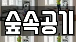 숲속공기