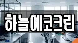 하늘에코크린