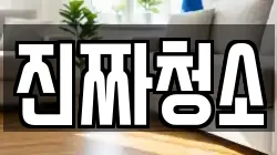 진짜청소