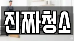 진짜청소