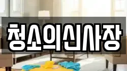 청소의신사장