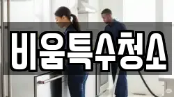 비움특수청소