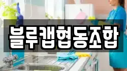 블루캡협동조합