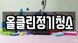 올클린정기청소