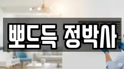 뽀드득 정박사