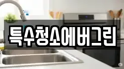 특수청소에버그린