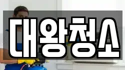 대왕청소