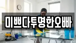 미쁘다투명한오빠