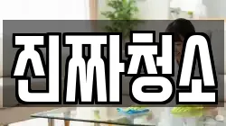 진짜청소