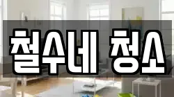 철수네 청소