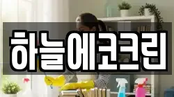 하늘에코크린