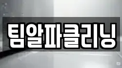팀알파클리닝