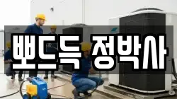 뽀드득 정박사