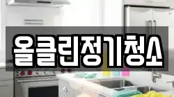 올클린정기청소
