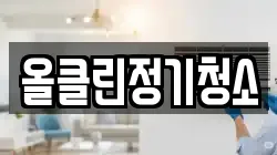 올클린정기청소