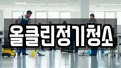 전북특별자치도 전주시 완산구 다가동2가 청소,입주청소,사무실청소,에어컨청소,특수청소,상가청소,거주청소,유품정리