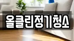 올클린정기청소