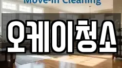 오케이청소